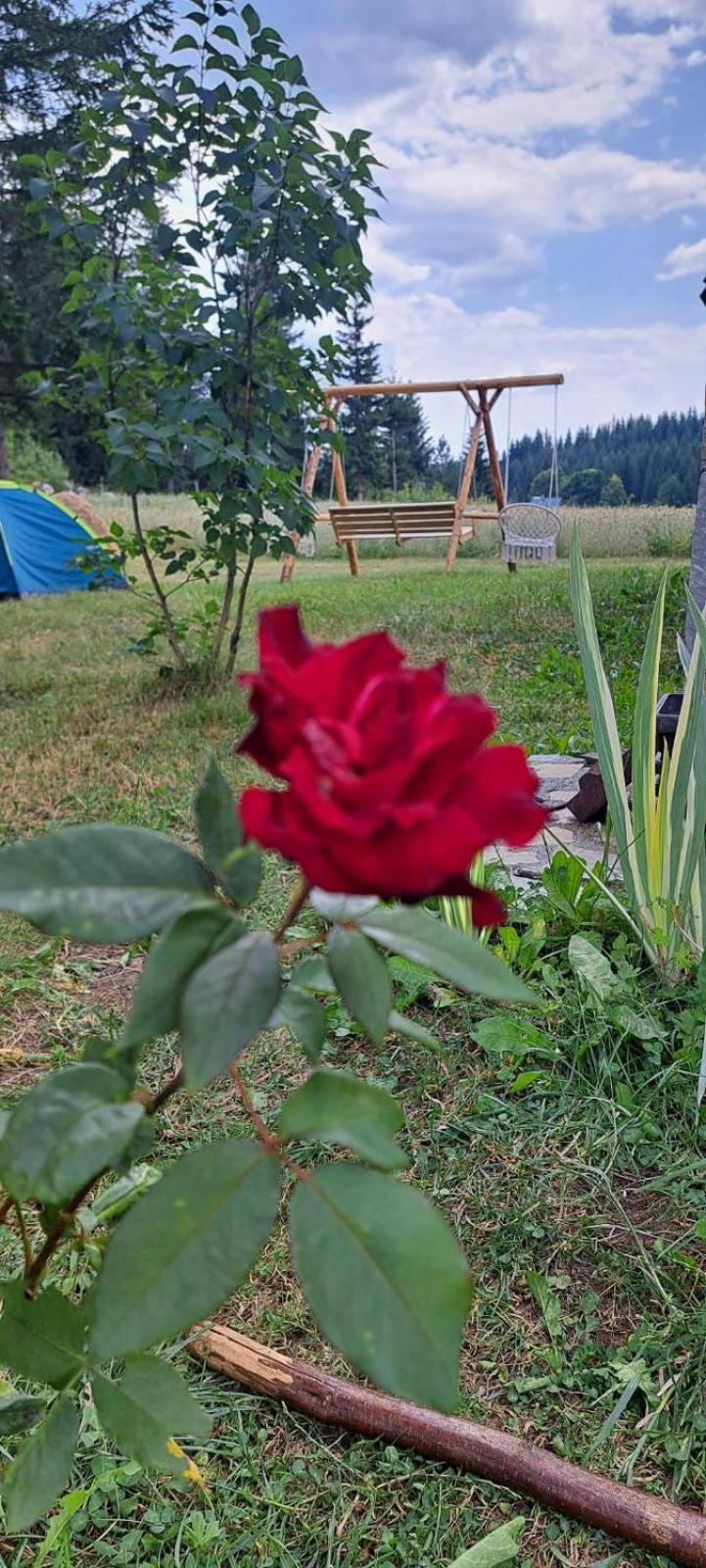 جابلياك Eco Village Podgora Household Kaljevic المظهر الخارجي الصورة